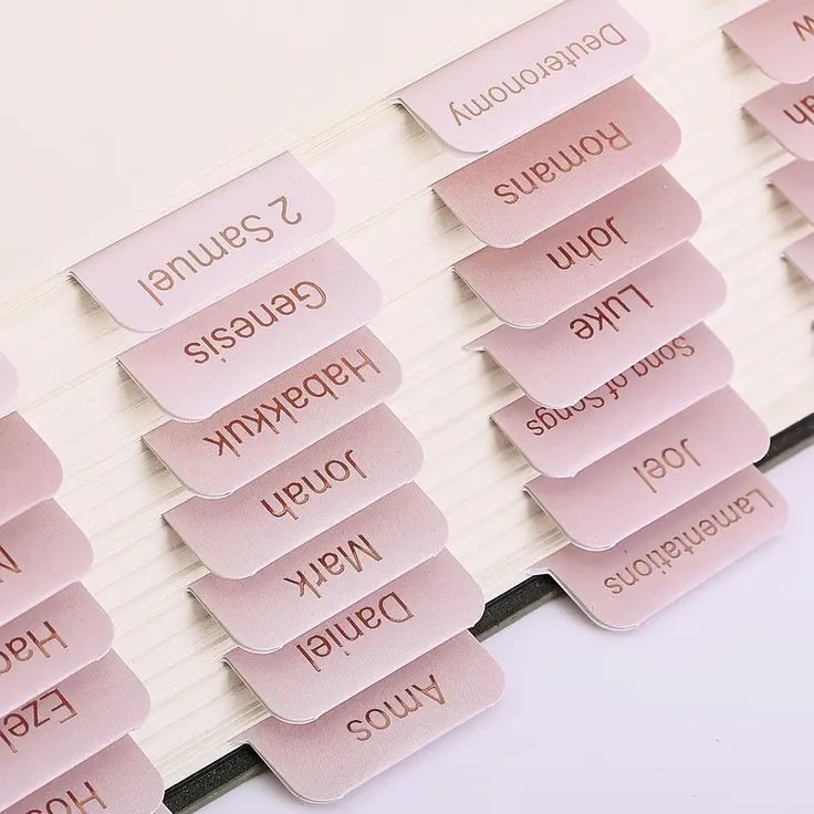 Rose and Gold Bible Tabs