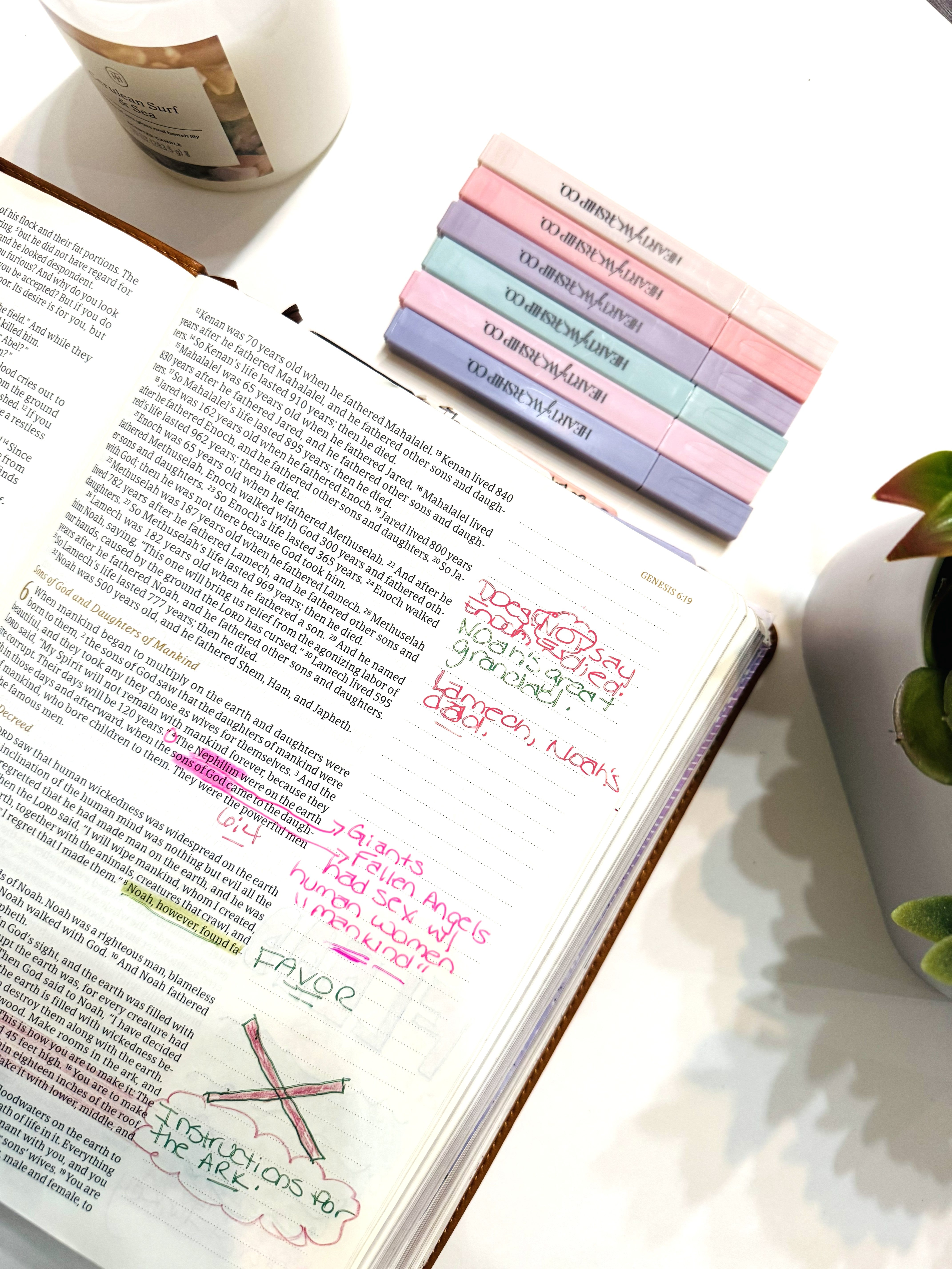 6-Piece Pastel Bible Highlighter Set