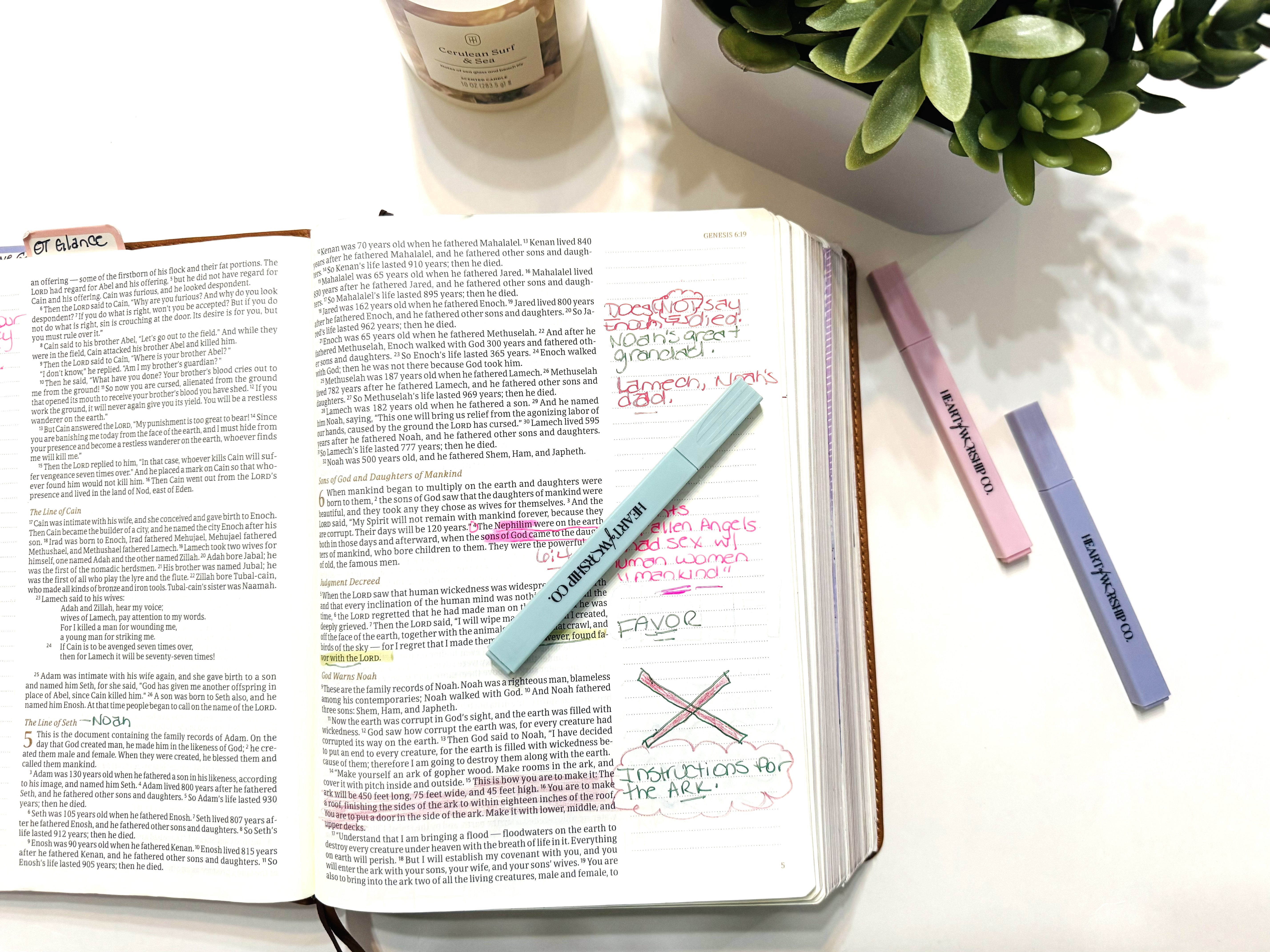 6-Piece Pastel Bible Highlighter Set