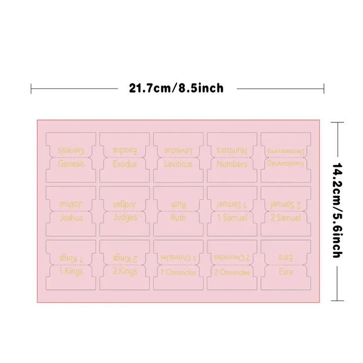 Rose and Gold Bible Tabs